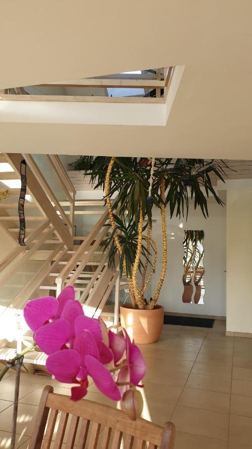 Grande Maison Avec Spa Proche De Caen Et De La Mer Brouay Luaran gambar